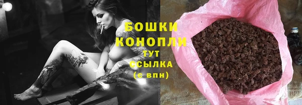 сатива Армянск