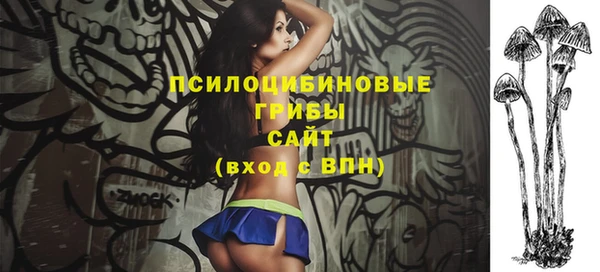 стафф Аркадак