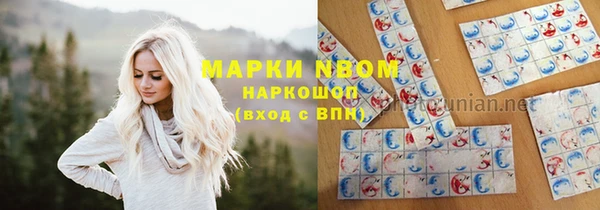 стафф Аркадак