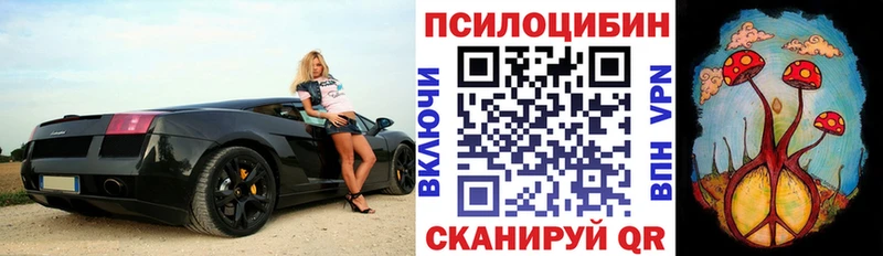 Галлюциногенные грибы мухоморы  где можно купить наркотик  маркетплейс состав  Мамадыш 